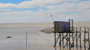 Un carrelet, cabane de pêche sur pilotis avec son filet carré, se dresse au-dessus des eaux de l'estuaire de la Gironde ou du Bassin d'Arcachon à marée basse, sous un ciel nuageux.