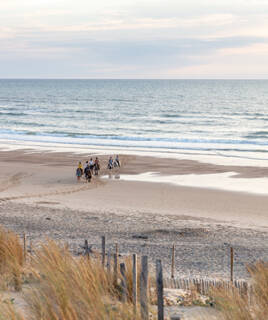 Un groupe de cavaliers longeant le rivage sur une plage de Gironde au coucher du soleil, avec l'océan et ses vagues en arrière-plan.