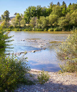Les berges verdoyantes du Verdon à Gréoux-les-Bains, avec la rivière aux eaux claires coulant sur des rochers, et des arbres luxuriants bordant les rives sous un ciel bleu dégagé.