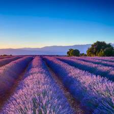 Camping Gréoux les Bains