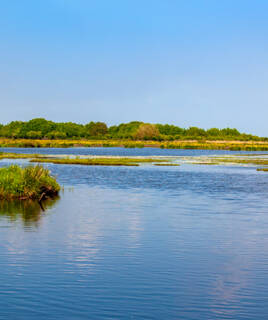 Le Parc Naturel Régional de Brière, près de Guérande, avec ses vastes étendues de marais et d'eau calme, bordées de végétation dense sous un ciel bleu clair.