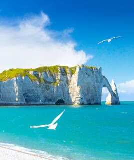La majestueuse Falaise d'Aval avec son arche naturelle et l'Aiguille à Étretat, près du Havre, se dressent au-dessus des eaux turquoise de la Manche, avec des mouettes en vol et une plage de galets au premier plan, sous un ciel bleu éclatant.