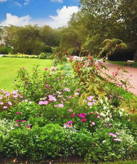 Verken Arcen's Historisch Centrum Homair