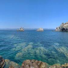 Camping Hyères les Palmiers