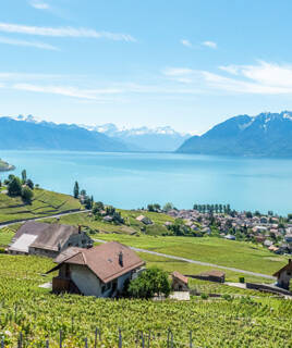 Une vue panoramique sur le Lac Léman depuis les hauteurs, près de Chexbres, avec des vignobles en terrasses, des maisons et un village en contrebas, et les montagnes enneigées en arrière-plan sous un ciel bleu.