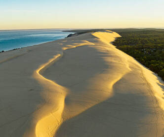 Camping in den Landes