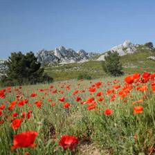 Camping Les Alpilles