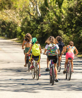 L'incantevole pineta Homair