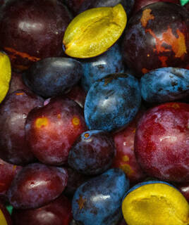 Une collection de prunes violettes et rouges, dont certaines sont coupées en deux révélant une chair jaune, un aperçu des produits locaux de Lot-et-Garonne, célèbres pour leurs pruneaux.