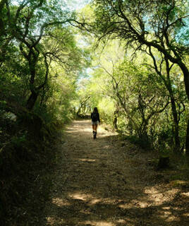 Randonnée dans le Marais Poitevin