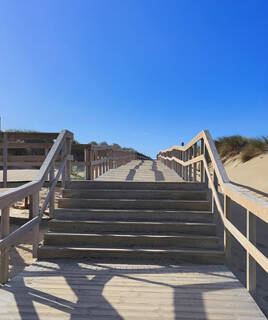 Un large escalier en bois menant au sommet d'une dune parabolique à Merlimont, avec du sable et de l'herbe sur les côtés, sous un ciel bleu éclatant.