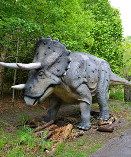 Une reconstitution grandeur nature d'un tricératops gris avec ses cornes et sa collerette, installée dans un environnement boisé, probablement au Dinosaure Parc près de Messanges.
