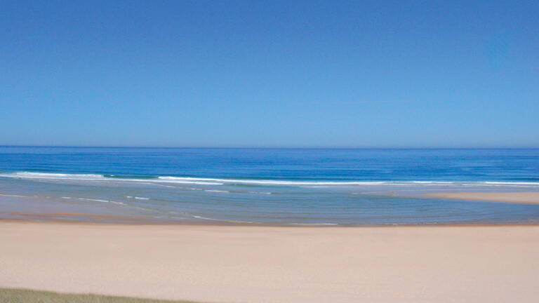 La vaste plage de sable de Messanges, avec des vagues douces s'écrasant sur le rivage et l'océan Atlantique s'étendant à l'horizon sous un ciel bleu clair et dégagé.