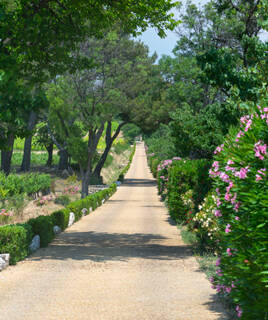 Une longue allée de gravier bordée de verdure luxuriante et de fleurs roses, menant vers l'horizon, probablement dans le Jardin des Plantes de Montpellier.