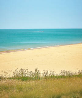 La plage de La Palmyre, avec son sable doré et les eaux turquoise de l'océan Atlantique, sous un ciel bleu dégagé, et de l'herbe sèche au premier plan.