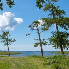 Camping Parentis-en-Born