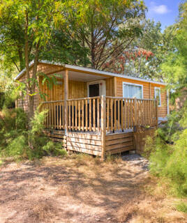 Un mobil-home en bois avec une terrasse et une rambarde, niché au milieu des arbres et de la végétation, probablement dans un cadre naturel propice à la pêche et au camping dans la région d'Aix-en-Provence.