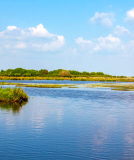Le Parc Naturel Régional de Brière, près de Pénestin, avec ses vastes étendues de marais et d'eau calme, bordées de végétation dense sous un ciel bleu clair.