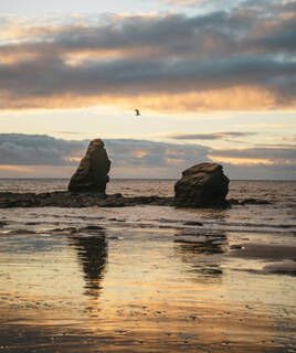 Des rochers solitaires se dressent sur la plage de la Mine d'Or à Pénestin, avec leurs reflets dans le sable humide à marée basse, sous un ciel de coucher de soleil aux teintes orangées et grises, avec un oiseau en vol.