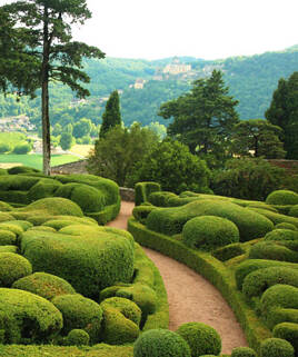 Un chemin sinueux serpente à travers les buis méticuleusement taillés des Jardins de Marqueyssac, en Périgord, offrant une vue sur la vallée de la Dordogne et un château au loin.