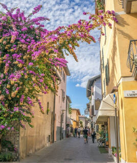 Wandelen langs het water Homair
