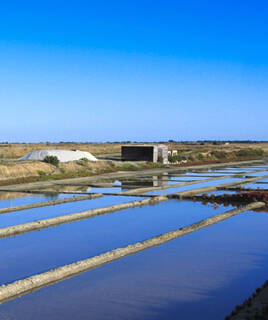 Sich in das Handwerk der Salzbauern einführen lassen Homair