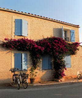 Façade d'une maison typique du centre du village de Porquerolles, avec des volets bleus et une abondante bougainvillée fuchsia, sous un ensoleillement doux.