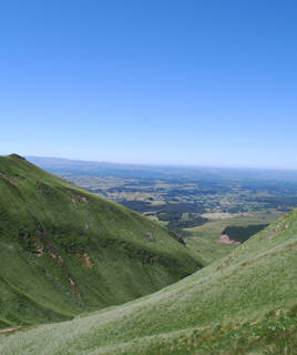 Une vue panoramique sur les pentes verdoyantes du Massif des Maures, près de Port Grimaud, s'étendant vers une plaine lointaine sous un ciel bleu clair.