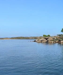 Le Site Naturel des Dosses à Port Leucate, un plan d'eau calme bordé de rives végétalisées et d'arbres clairsemés sous un ciel bleu clair.