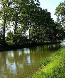Le Canal du Midi à Portiragnes, avec ses eaux calmes reflétant les arbres matures qui bordent ses rives verdoyantes, sous un ciel lumineux.