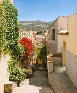 Une ruelle étroite et en pente du village de Collioure, dans les Pyrénées-Orientales, bordée de murs en pierre couverts de végétation luxuriante, dont une magnifique plante à fleurs rouges, offrant une vue sur les toits et les montagnes en arrière-plan sous un ciel bleu.