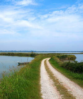 Esplora in bicicletta il Parco del Delta del Po Homair