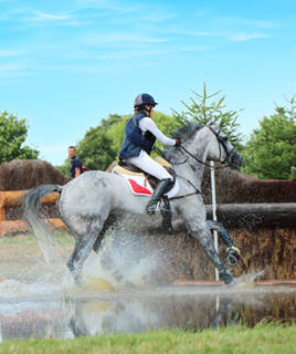 Spectacle Equestre La Roche sur Yon