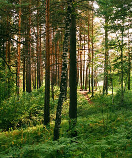 Ontdekken de natuur van de Gelderse Vallei Homair
