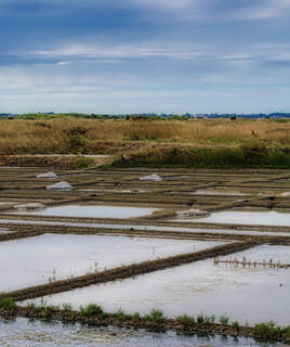 Les marais salants près de Saint-Gilles-Croix-de-Vie, avec leurs bassins d'eau organisés en parcelles, des monticules de sel blanc et des herbes sèches en arrière-plan sous un ciel nuageux.