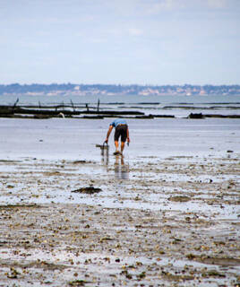 Une personne pratiquant la pêche à pied sur la vasière, récoltant des coquillages à marée basse sur le littoral de Saint-Jean-de-Monts, avec l'océan et la côte lointaine en arrière-plan sous un ciel nuageux.