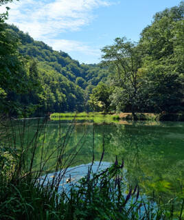 Paysage du Parc Naturel Régional de la Brière