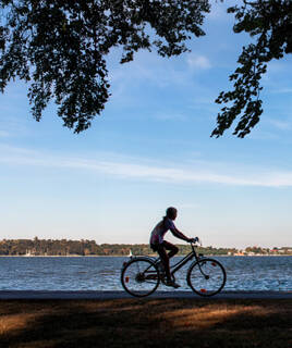 Fiets door de weilanden Homair