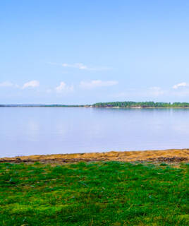 L'Étang de Cazaux-Sanguinet, avec une plage de sable et de l'herbe au premier plan, s'étendant vers une ligne d'arbres à l'horizon sous un ciel bleu clair parsemé de nuages blancs.
