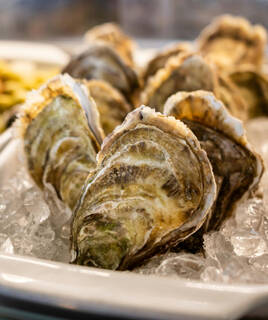 Des huîtres fraîches sur un lit de glace pilée, prêtes à être dégustées à Sarzeau.