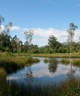 Un paisible plan d'eau dans la Réserve Naturelle du Duer à Sarzeau, entouré de roseaux et d'arbres, avec le ciel bleu et les nuages se reflétant à sa surface.