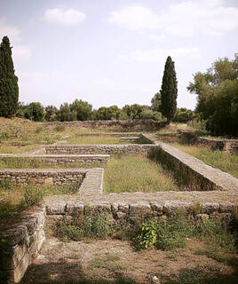 Les vestiges archéologiques d'une ancienne villa romaine, avec des fondations en pierre et des cyprès, au Parc de la Navale à La Seyne-sur-Mer.