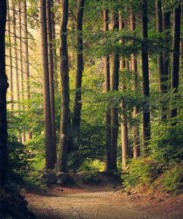 Paysage naturel du Val de Loire