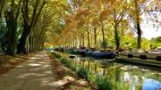Le Canal du Midi près de Valras-Plage, bordé d'une allée de platanes aux couleurs automnales et de péniches amarrées, avec leurs reflets dans l'eau calme, sous un ciel lumineux.