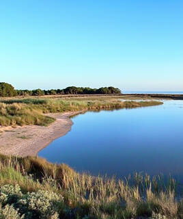 Genieten van sport en smaken in Valras-Plage Homair