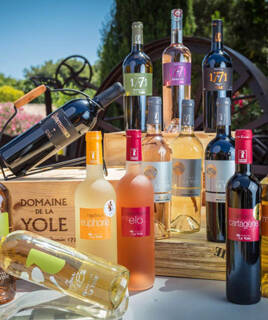 Une exposition de différentes bouteilles de vin du Domaine La Yole, avec des vins rouges, rosés et blancs, présentées en extérieur sur des caisses en bois, sous la lumière du soleil, près de Valras-Plage.