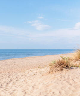 La vaste plage de sable de Valras-Plage, avec des dunes et de la végétation sèche au premier plan, s'étendant vers l'océan Méditerranée sous un ciel bleu clair, invitant à profiter du littoral.