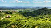 Campeggio Le colline del Prosecco