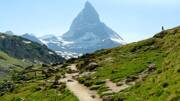 Chemin de randonnée escarpé sur les pentes verdoyantes d'une majestueuse montagne enneigée des Alpes suisses sous un ciel bleu.