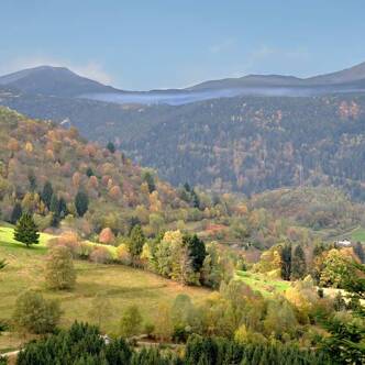 Camping dans les Vosges